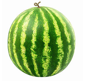 Арбуз Агро Люкс