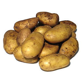 Картофель Голландка 5кг (РТТ 1000)