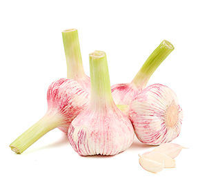 Чеснок молодой