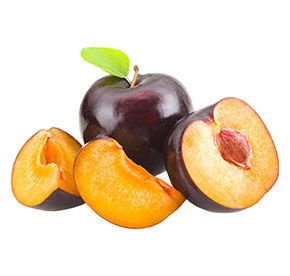 Слива круглая