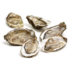 Устрица живая тихоокеанская (Crassostrea gigas Thunberg), №0 (120+  грамм) продукт аквакультуры