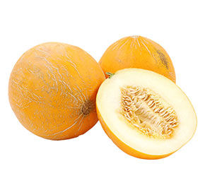 Дыня Колхозница