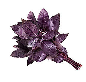 Базилик 50гр