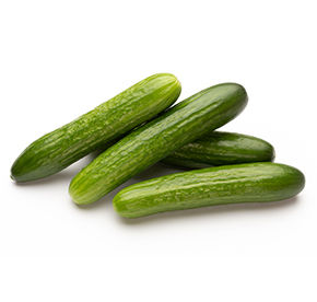 Огурец тепличный