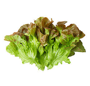 Салат Дуболистный крансый 90гр