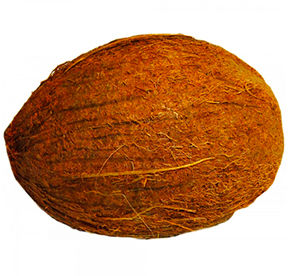 Кокосы Veles 1шт