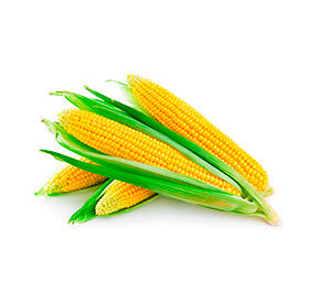 Кукуруза