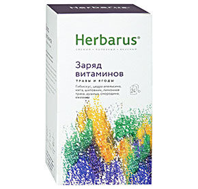 Чайный напиток Herbarus Заряд витаминов травы и ягоды 24 пакетика