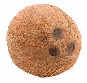 Кокос Агро-Люкс 1шт