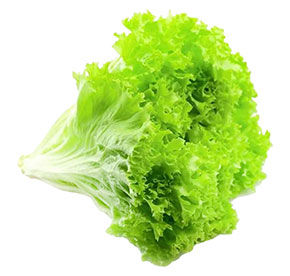 Салат листовой 150гр