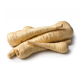 Пастернак корень