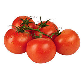 Томат на ветке