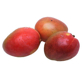 Манго Агро Люкс