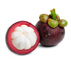 Мангостин Агро Люкс