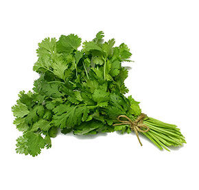 Кинза 50гр Агро Люкс шт