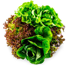 Салат Трио микс 90гр