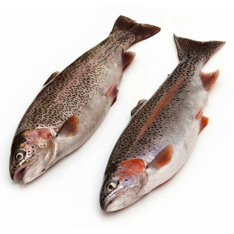 Форель прудовая (радужная) охл.потрошенная обезжабренная 200-400 (для Мантера)