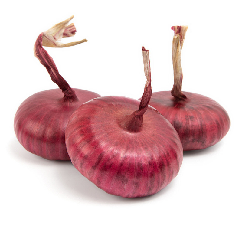 Лук ЯЛТИНСКИЙ 1кг (Еленин ИП)