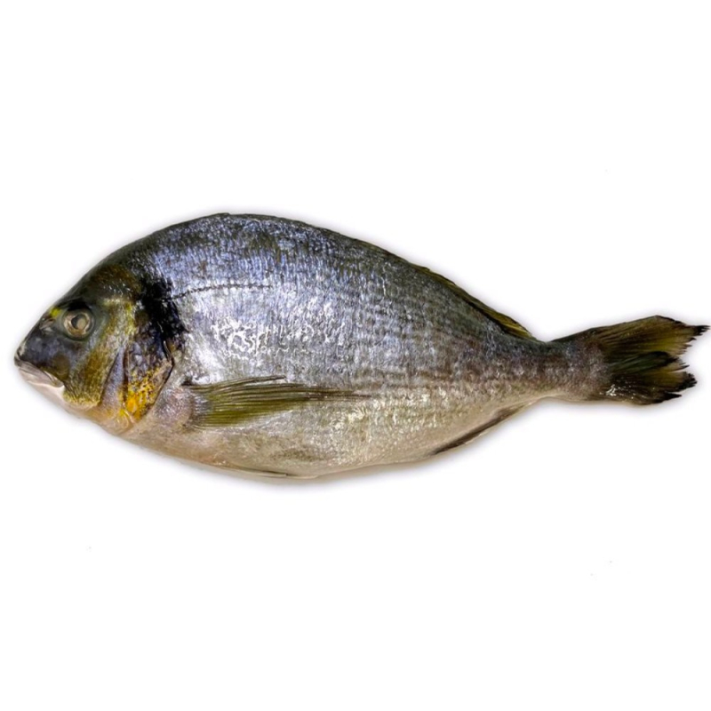 Дорадо с/м с/г (непотрош.) 400-600 1*5 1 кг (для Мантера)