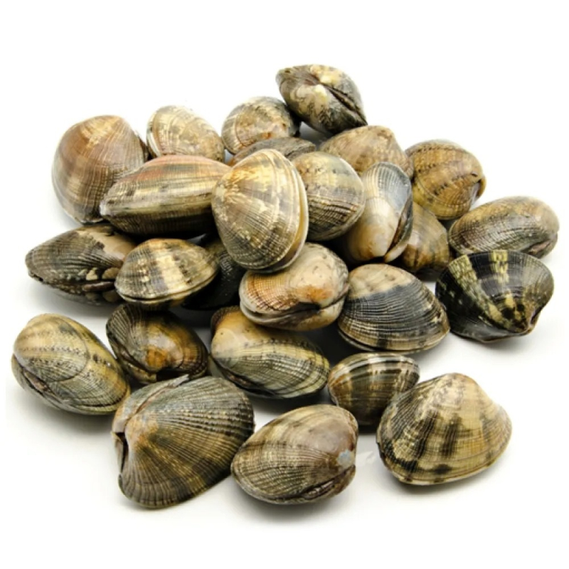 Клемы вонголе, в/м, 31/40, в створках, 0,5 кг 5 кг/короб, Dandong Hailong, Китай (для Мантеры)