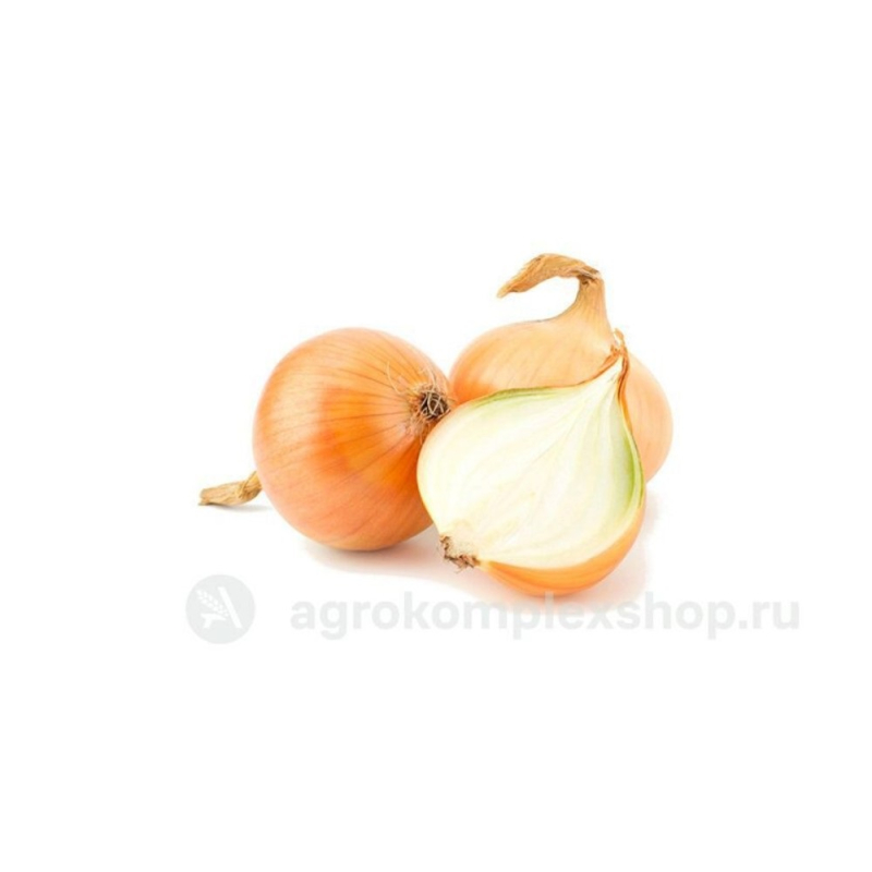 Лук репчатый свежий
