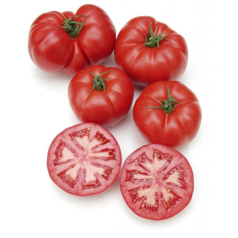 ТОМАТЫ БИФ КГ Еленин ИП