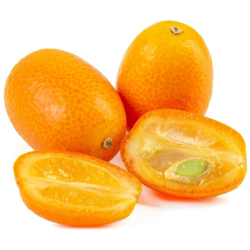 Кумкват, шт