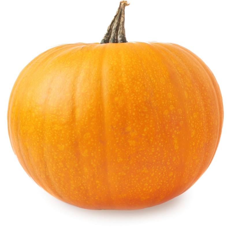 Тыква "Оранж", вес, (РТТ 1000)