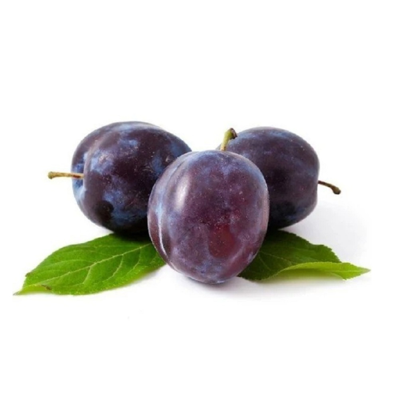 Слива "Синяя" 