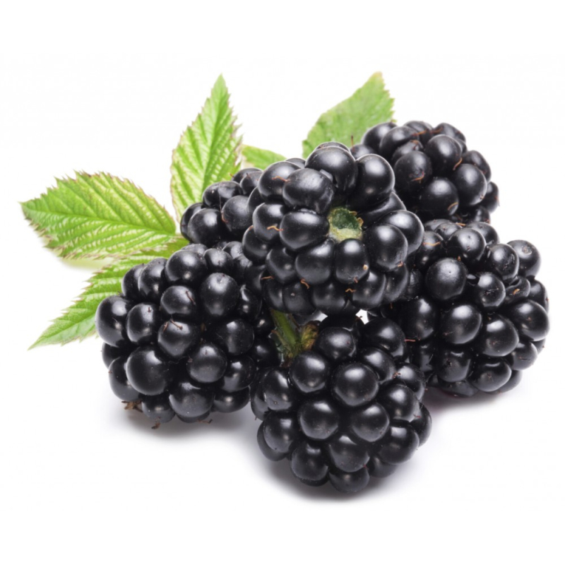 Ежевика 125г (ФРУИТ СТРИТ)