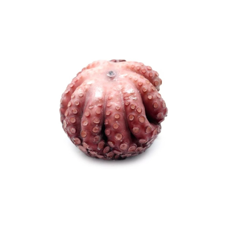 Осьминог целый (шар), очищен.с/м, 4+ кг (Т1), IQF глаз.8%, кор.~12кг.SO.CO.PO.МАРОККО (для Мантеры)