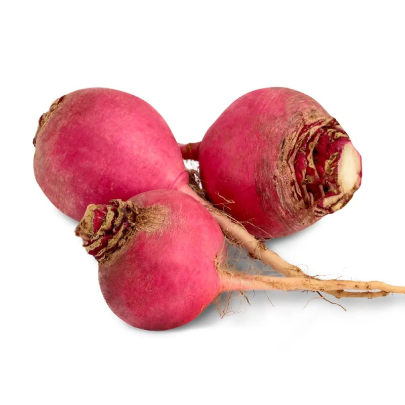 Редька красная вес (РТТ 1000)