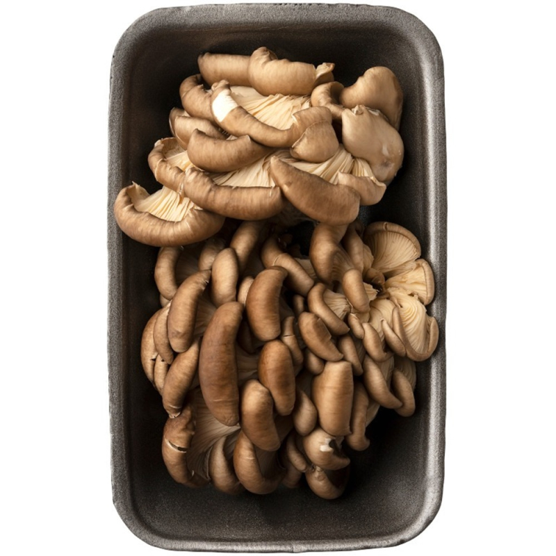 Вешенки свежие культивируемые 300г (Еленин ИП)