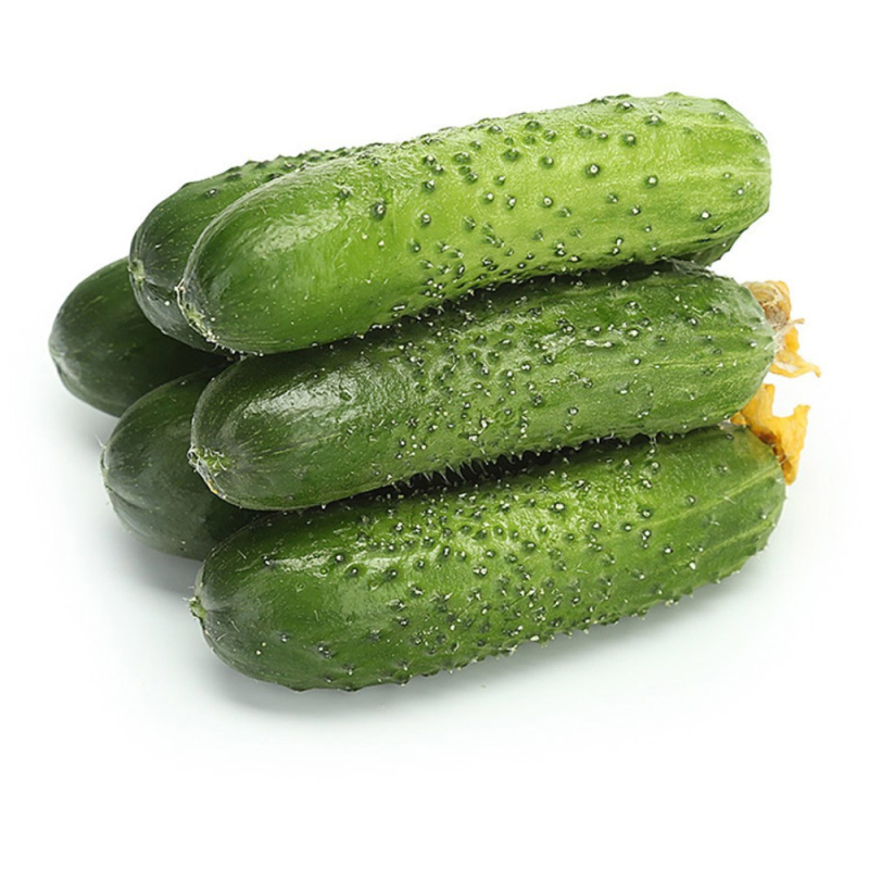 ОГУРЦЫ КОРОТКОПЛОДНЫЕ, кг