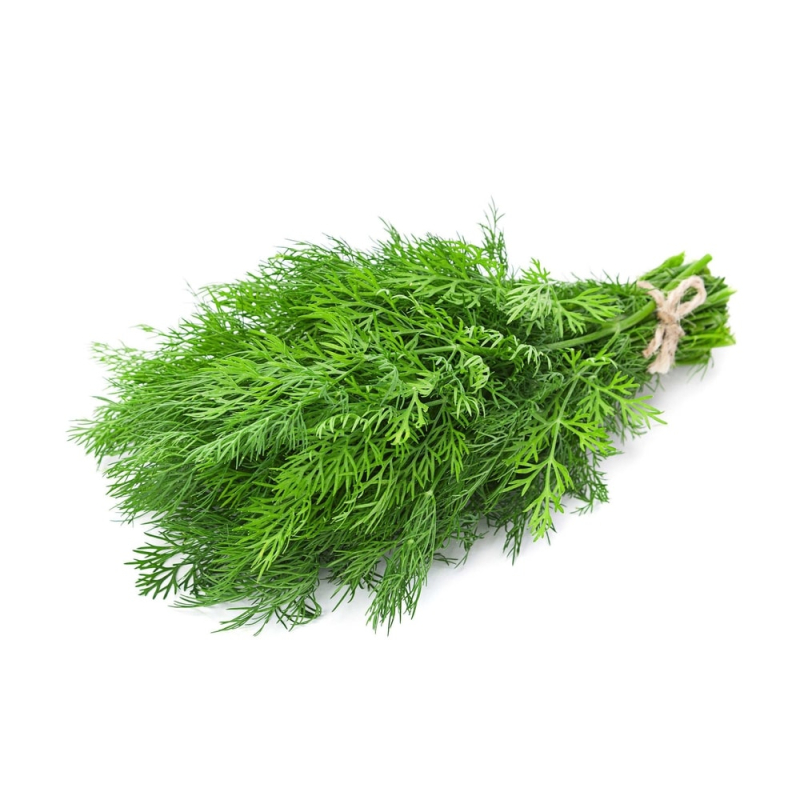 Укроп 1кг  (Грин Лайн)(вес)