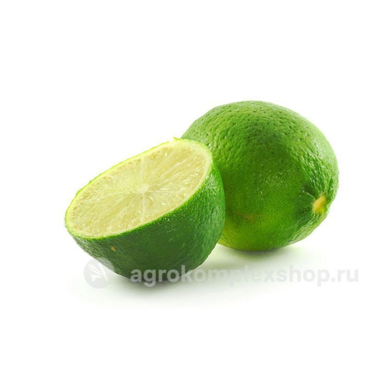 Лайм, кг (вес) (РТТ 1000)